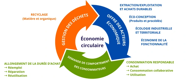 Cycle de l’économie circulaire illustrant les interactions entre producteurs, consommateurs et gestion des déchets